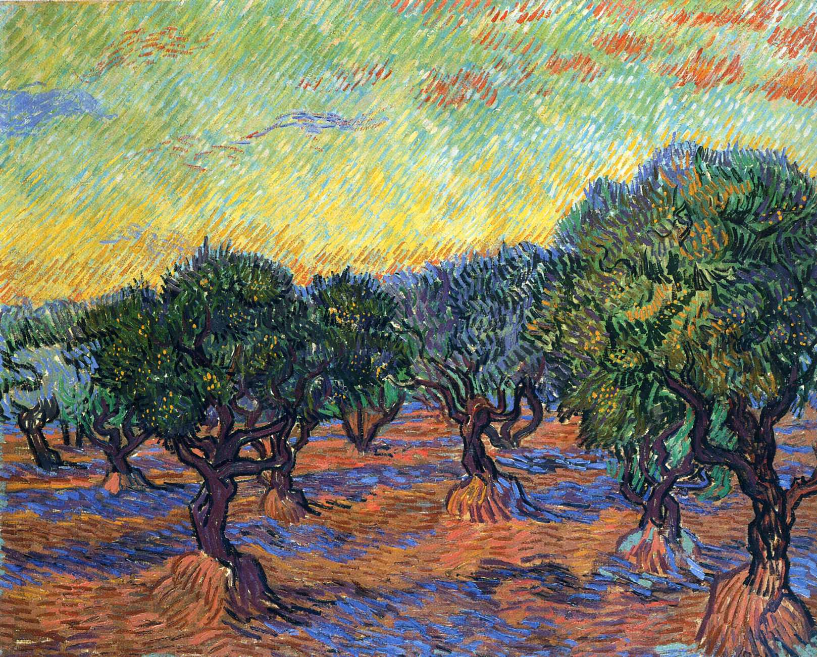 Olive Grove Orange Sky - Van Gogh Painting On Canvas